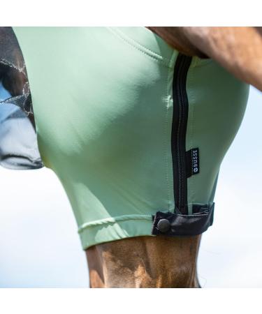 Busse Fly Mask Twin Fit Flexi | Premium Horse Fly Protection - Shop Internationally - Buy Online on GoSupps.com