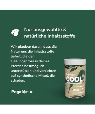 Peganatur Cool - 2.5 kg Acetic Acid Clay with Natural Herbs for Horses | Essential Stable Coolant - Buy Online on GoSupps.com