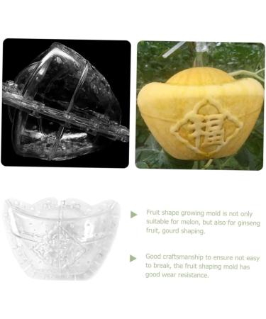 GANAZONO 2pcs Plastic Fruit Mini Watermelon Clear Fruit Transparent Forming Mold Shaper Pumpkin Support Frame - Buy Online on GoSupps.com