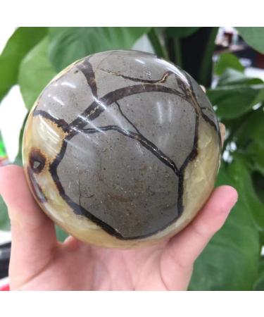 Home Decoration Natural turtleback Stone Crystal Stones Stone Mineral Specimen (Size : 500-550g)
