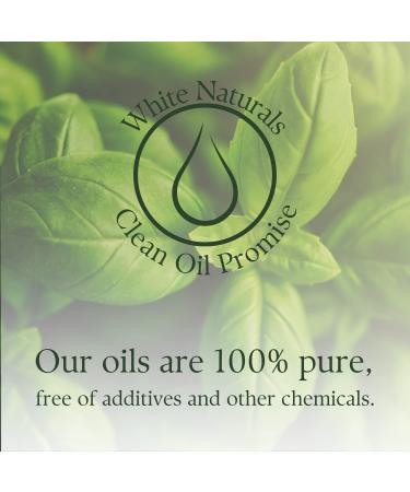 100% Pure Basil Essential Oil for Alertness - 1 oz Therapeutic Grade Aromatherapy Oil - Buy Online on GoSupps.com