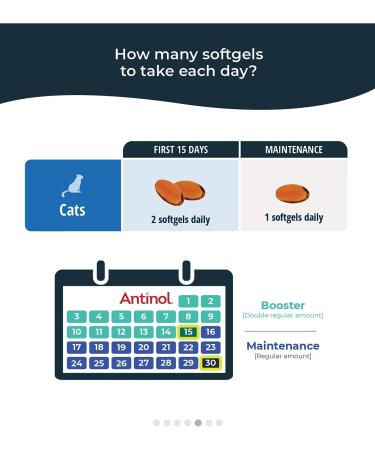 Antinol 60 Softgels - Super Potent Joint Supplement for Cats - Buy Online on GoSupps.com