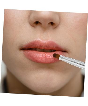 Housoutil Lip Applicator Makeup Lipstick Applicator Lip Brush Covers Makeup Tools Makeup Lip Brush Disposable Makeup Applicator Lip Brush for Lipstick Telescopic Cangzhou Travel - Buy Online on GoSupps.com