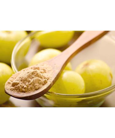 DR. Herbalist-7.1 OZ (200g) Amla Fruit Powder Amla Powder Organic for Eating Ascorbic Acid Powder Emblica Officinalis Amalaki for Immune Support & Energy - Buy Online on GoSupps.com