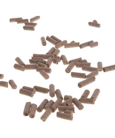 RALIYATX Jigging Hook High Nutrition Mixed Diet Fish Food Pellet Sticks for Bottom Feeding Crystal Shrimp 40g - White - Buy Online on GoSupps.com