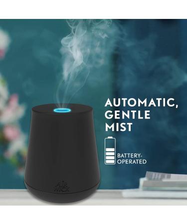 Air Wick Essential Oils Diffuser Mist Refill - Cinnamon & Crisp Apple | 1ct Air Freshener | International Shipping Available - Buy Online on GoSupps.com