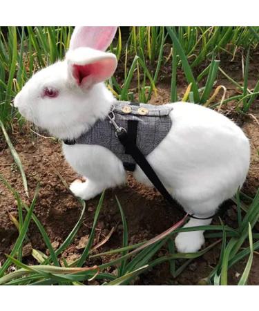Rabbit Harness Leash Cute Bunny Vest Harness and Leash Set With Button Decor Pets Adjustable Formal Suit Style Plaid Stripe Harness Grey(S) - Buy Online on GoSupps.com