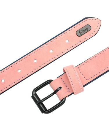 Didog Personalized Leather Dog Collar - Soft Padded Design with Engraved Name Tag for Small & Medium Dogs (M: 27-33 cm Pink) - Buy Online on GoSupps.com