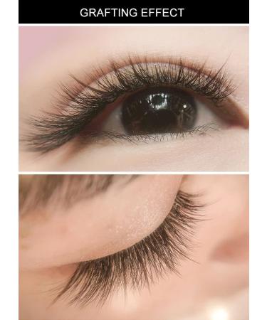 Fishtail Eyelash Extensions Mix Length Single Cluster Fans - C Curl Super Natual Grafting Eyelashes, Dovetail Fly Eyelash / A/M Shape, Premade Spikes, 10D Lashes - 1 Count - Buy Online on GoSupps.com