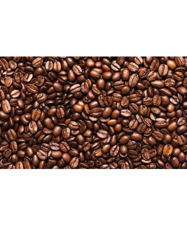 The Espressocist - Medium Traditional Espresso Roast - 340 Grams - Buy Online on GoSupps.com