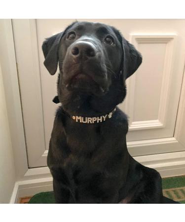 pets-lover Personalised Dog Puppy Cat Pet NAME Collar (Pink XS(1.5CM*30CM)) Pink XS(1.5CM*30CM) - Buy Online on GoSupps.com