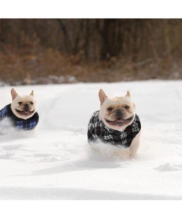 Winter Fabric Dog Sweater with Leash Ring - Plaid S | Warm Fleece Vest Pullover Jacket for Small Dogs and Cats - Buy Online on GoSupps.com