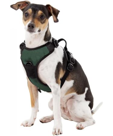 NCAA Oregon Ducks Pet Harness - Medium, Team Color | Littlearth Unisex-Adult - Buy Online on GoSupps.com