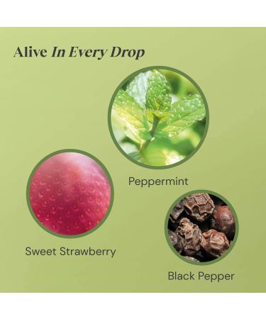 Twinings Peppermint and Strawberry Herbal Tea Bags 20 Tea bags PEPPERMINT/STRAWBERRY Single - Buy Online on GoSupps.com