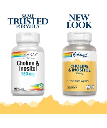 Solaray Choline & Inositol 250mg | Fat Metabolism & Brain Support | 100 VegCaps - Buy Online on GoSupps.com