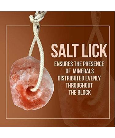 SOO Natural Pure Himalayan Salt Licks for Animals - Great for Horses Cows Deer and Other Livestock - Ropes Included | 1-2kg Salt Lick - Buy Online on GoSupps.com