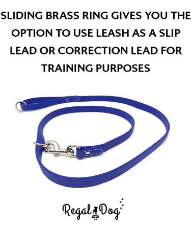Regal Dog Products Waterproof Dog Halfband - 1.5m Leash & Collar for Small to Large Dogs (Blue) - Ideal for Puppies and Adult Dogs - Buy Online on GoSupps.com
