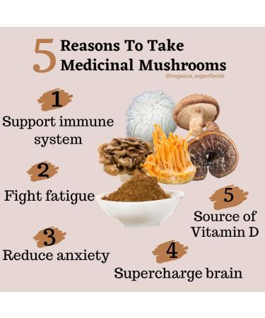 Organic Seven Mushroom Powder Blend with Chaga, Reishi, Lion's Mane & Cordyceps - 100g | Vegatox - Buy Online on GoSupps.com