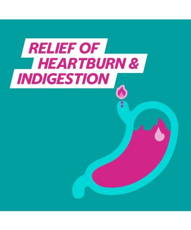 Gaviscon Double Action Heartburn and Indigestion Tablets Mint Flavour Pack of 4 x 24 Tablets Total 96 Tablets - Buy Online on GoSupps.com