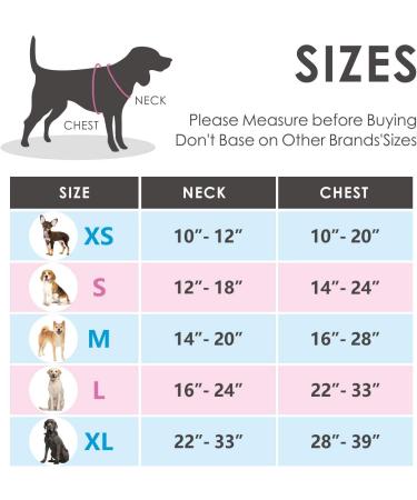 Phoepet Royal Blue XS Dog Harness - No Pull Reflective Adjustable with Front Clip & Handle | 2 Metal Rings & 3 Buckles - Buy Online on GoSupps.com