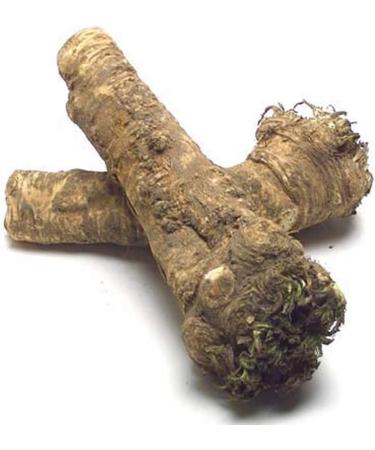 Horseradish Roots 1/2 lb - Ready for Planting or Sauces - Jacobs Ladder (USA Only) - Buy Online on GoSupps.com