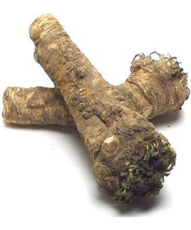 Horseradish Roots Natural 2 Pound (USA ONLY Can Not ship internationally) Ready for Planting or Preparing As Sauces or Dressings etc - Buy Online on GoSupps.com
