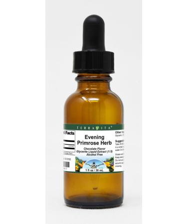 Evening Primrose Herb Glycerite Liquid Extract (1:5) - Chocolate Flavored (1 oz ZIN: 513193) - 3 Pack