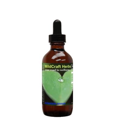 Artemisia Annua Herb Tincture Extract (2 oz) 2 Fl Oz (Pack of 1)