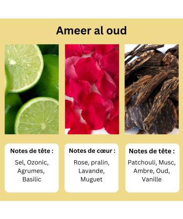 AYAT PERFUMES Perfume Extract 12ml | Pretty Bottle Packaged in an Elegant Box | Alcohol-Free Unisex Attar | Long Lasting Fragrance Oil | Arabian scent Made Designed in Dubai (Ameer al oud) - Buy Online on GoSupps.com