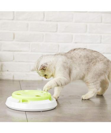 Pettom Interactive Cat Toy | Electric Butterfly Funny Exercise Toy for Kittens | Rotating Pop N Play Toy with Replacement Feathers | Green - Buy Online on GoSupps.com