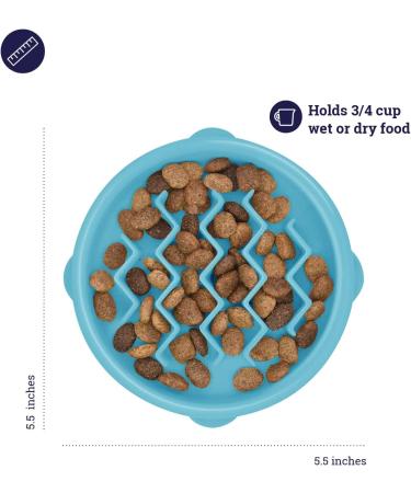 Petstages Kitty Slow Feeder Cat Bowl in Blue - Reduce Eating Speed and Promote Healthy Digestion - Buy Online on GoSupps.com