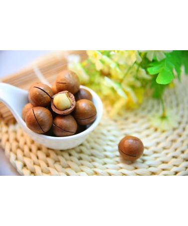 Kamelur ORGANIC Macadamia Nuts 5kg - Whole Raw Food Quality Class 1L Unshelled & Untreated - Buy Online on GoSupps.com