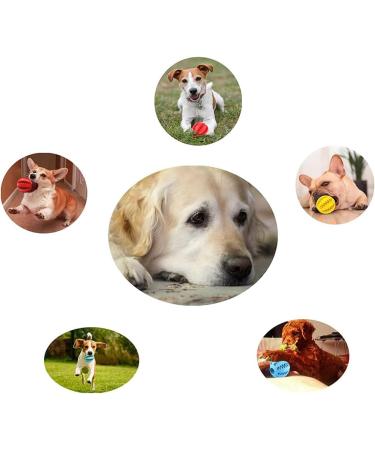 Jodsen 3 Pieces Dog Toy Ball 4.8cm Treat Dispenser Ball Toy Interactive Enricht Dog Toys for Boredom Small Dog Puzzle Toy Teeth Cleaning Chew Toy Exercise Game IQ Training Ball for Puppy Cat - Buy Online on GoSupps.com