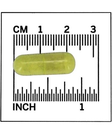 NOW Quercetin with Bromelain - 120 Vegetable Capsules - Buy Online on GoSupps.com