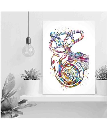 Modern Farmhouse Bedroom Decor: Semicircular Canals Ear Watercolor Print | Audiologist Gift & ENT Office Medical Art | 12x18 Ready to Hang - Buy Online on GoSupps.com