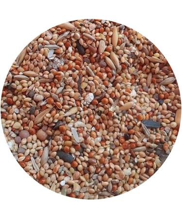 Bird Food 10 kg Bird Food Mix 4 Seasons Top (10 kg) - Buy Online on GoSupps.com