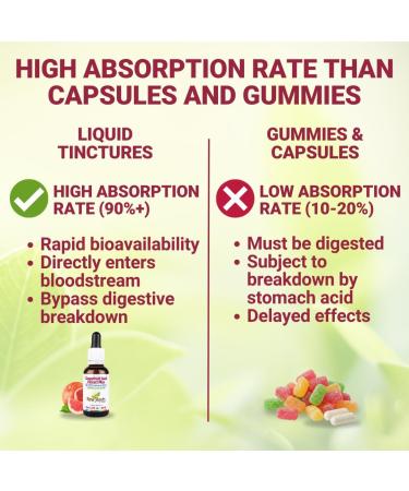 NEW ROOTS HERBAL Grapefruit Seed Extract Drops (1 Fl OZ) + Vitamin C | Super Concentrated Grapefruit Seed Extract Liquid Tincture | Gluten Free, Non-GMO - Buy Online on GoSupps.com