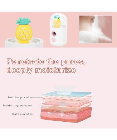 Mini Nano Facial Moisturizing Sprayer USB Charging Handheld Skin Hydrating Mist Sprayer for Face Care Pure Daily Use - Buy Online on GoSupps.com