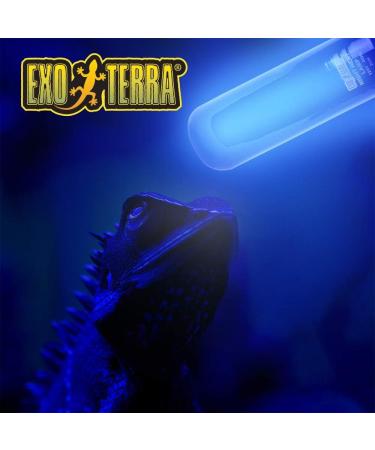 Exo Terra Night Heat Lamp 25W - Blue Moonlight Lamp for Reptiles & Amphibians | E27 Socket - International Shipping Available - Buy Online on GoSupps.com