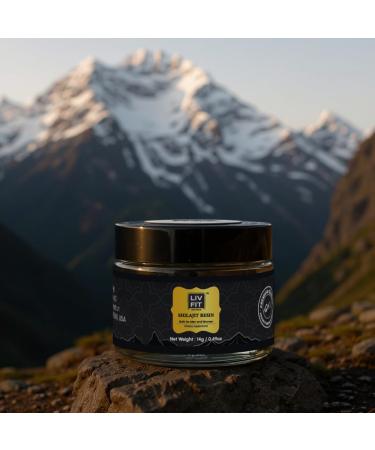 Liv Fit Himalayan Shilajit Resin | 14g (45 Servings) | 100% Pure | Lab-Tested for Purity | Dietary Supplement