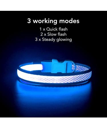 Yfbrite Rechargeable LED Dog Collar - Adjustable Reflective Safety Collar Flashes at Night (Blue Size S) - Buy Online on GoSupps.com
