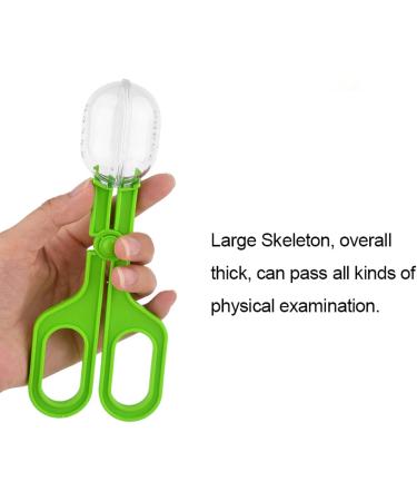Reptiles Feeding Tongs Cleaning Tool Clip Catch Clamp Suitable For Crickets Cockroach Mealworm Locust Feeding Tongs Plastic Feeding Clip Cleaning Feeding Tools - Buy Online on GoSupps.com