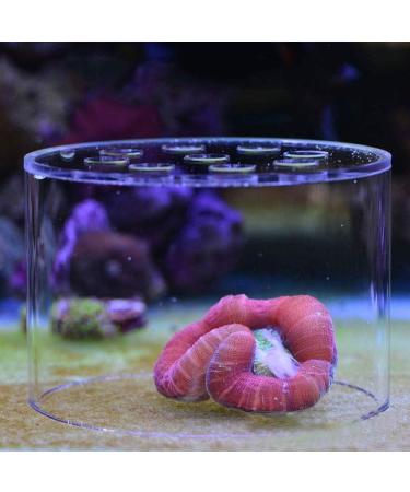 Transparent Coral Feeder Cover Transparent Acrylic Aquarium Coral Feeder Cover Fishing Aquarium for Partial Coral Reproduction(120mm) - Buy Online on GoSupps.com