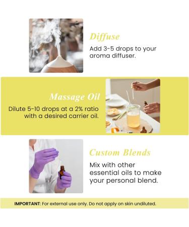 Handcraft Blends Double Citrus Set: Lemon and Grapefruit Essential Oils (2 x 4 Fl Oz) 100% Pure & Natural for Diffuser Aromatherapy and DIY Projects - Buy Online on GoSupps.com