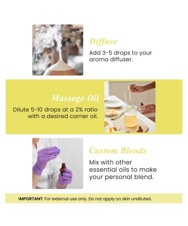 Handcraft Blends Radiant Glow Set: Apricot Kernel Oil (16 Fl Oz) and Lemon Essential Oil (4 Fl Oz) 100% Pure & Natural for Brightening Skin and Invigorating Massage - Buy Online on GoSupps.com