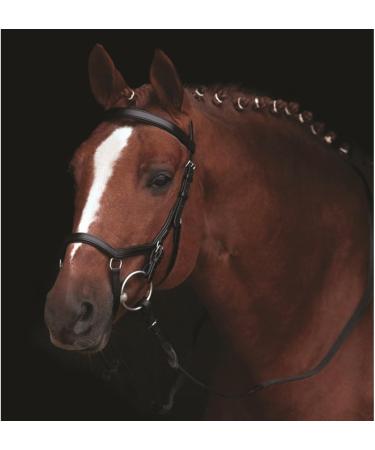 Ireland Rambo Micklem Competition Bridle - Black for Small Horse | International Shipping Available - Buy Online on GoSupps.com