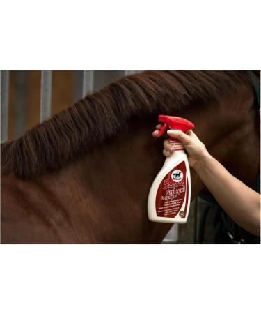 RL24 LeoVet 5-Star Horse Spray - Manage Itching & Dry Skin | Gloss & Easy Combability | 2 x 550ml | Protection Against Dirt - Buy Online on GoSupps.com