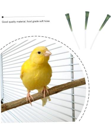 PopetPop 9-Piece Baby Probe Feeding Kit for Birds - Reusable Syringe & Hose Accessories for Easy Feeding | International Shipping - Buy Online on GoSupps.com