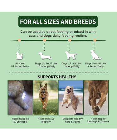Green Lipped Mussel for Dogs and Cats | Cat and Dog Joint Supplements to Reduce Stiffness and Improve Mobility with Turmeric Glucosamine Chondroitin MSM Curcumin | Cat Dog Joint Care (TUB OF POWDER) - Buy Online on GoSupps.com
