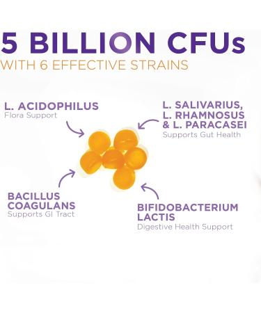 Probiotic Gummies 5 Billion CFU - Advanced Multi-Strain Probiotic Formula Immune Digestive & Gut Health Support Gummy for Women Men Kids Daily Probiotics Supplement Non-GMO Vegan 60 Gummies 60 Count (Pack of 1) - Buy Online on GoSupps.com